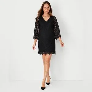 Ann Taylor | Dresses | Ann Taylor Lace Vneck Shift Dress